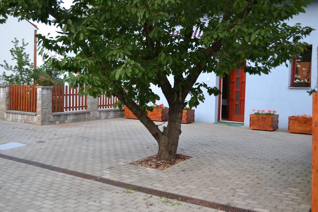 Levandule Бърно Екстериор снимка